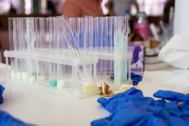 Araştırmacılarla çalışma sürecinde masada reaktörlü test tüpleri