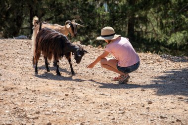 Güneşli bir günde vahşi bir keçiyi besleyen mutlu kız, Ufuk.