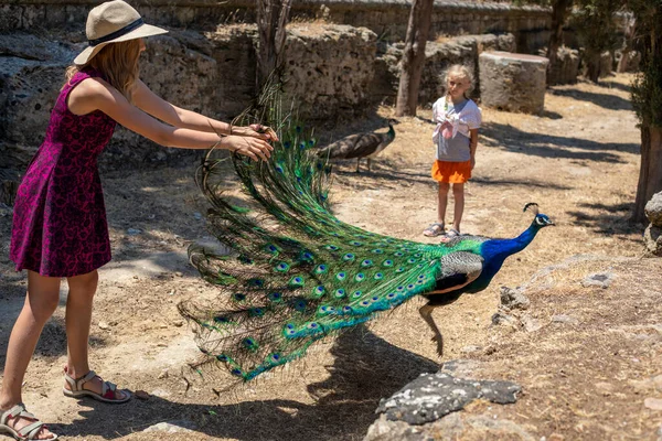 Feliz Adolescente Menina Agarrando Cauda Pavão Horizonta — Fotografia de Stock