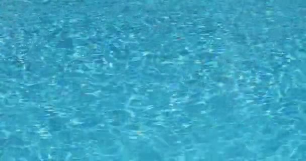 Křišťálově Čistá Modrá Voda Bazénu Modré Přírodní Pozadí — Stock video