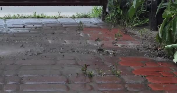 从屋外的花园小径上涌出的大水冲走了泥土 — 图库视频影像