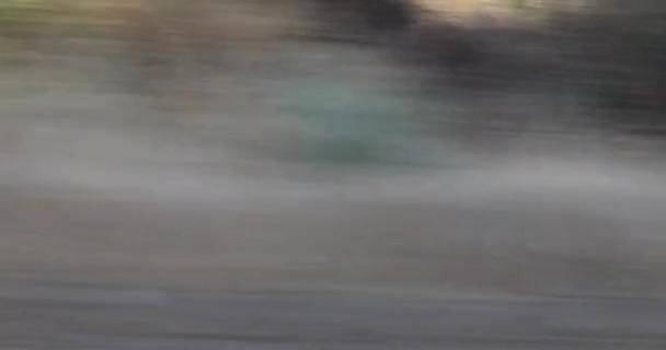 Nagy Sebességű Árnyék Egy Vezető Autóból Egy Napsütéses Estén Vízszintes — Stock videók