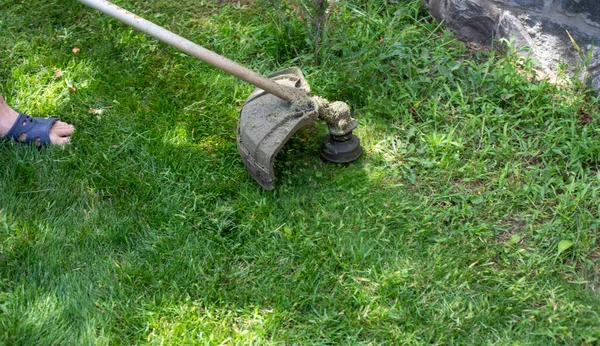 Mowing Grass Trimer Hard Reach Places Sunny Warm Day Horizonta — Stock Photo, Image