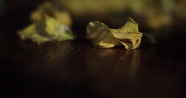 Schöne Verschwommene Abstrakte Gelb Braune Hintergrund Mit Gelben Getrockneten Rosen — Stockvideo