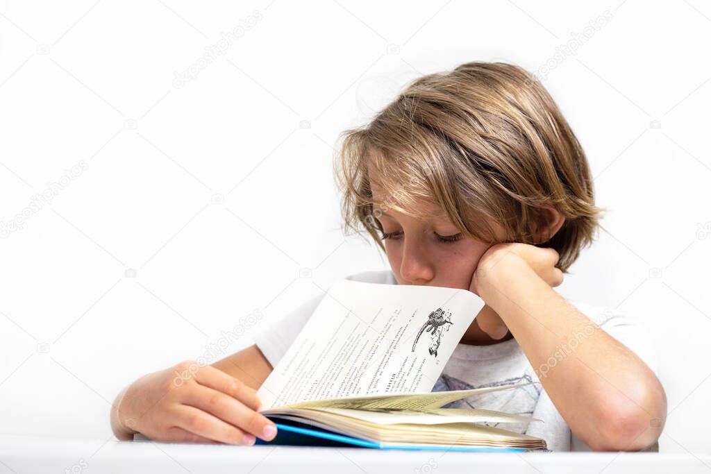attentive boy reads an interesting book on a white background, back to school, education