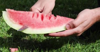 Bir piknikte kabuğundan çıkan bıçakla bir dilim tatlı karpuz kes.