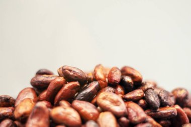 Çikolata yapmak için açık arkaplanda kurumuş kahverengi kakao çekirdeği.