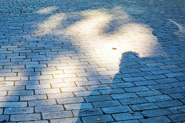 Şehir parke taşı sokağı, güneş ışığı ve gölgesi dışarıdan