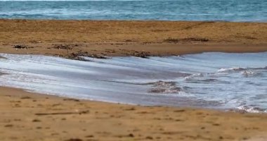 Güneşli bir günde sahilde sabahın erken saatlerinde. Deniz kenarı tatili