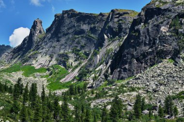 Ergaki Ulusal Parkı. Yaz.