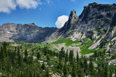 Ergaki Ulusal Parkı. Yaz.