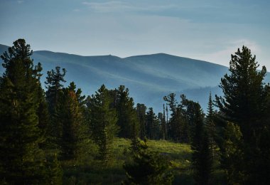 Dağ manzarası ve ormanlar sisle kaplı. Dramatik bulutlu gökyüzü. Filtrelenmiş resim: çapraz işlenmiş vintage etkisi.