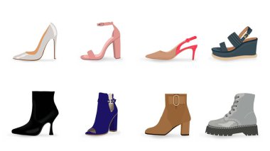 Kadın ayakkabılarının vektör çizimleri