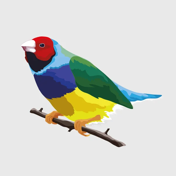 Птица сидит на ветке — стоковый вектор