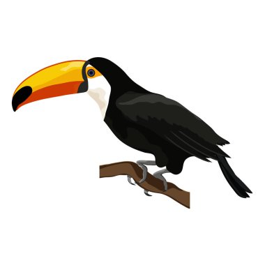 Bir ötücü kuş bir dala oturur