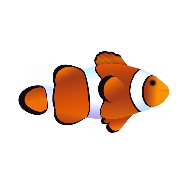 Exotische vis Amphipion, Clown Fish. — Stockvector