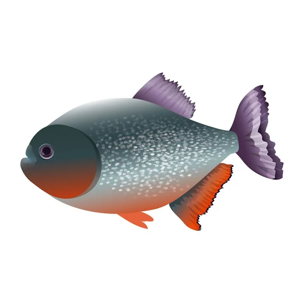 Exotische kleurrijke piranha vis — Stockvector