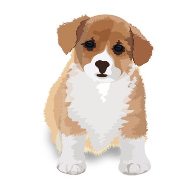 Çizgi film tarzında şirin bir köpek yavrusu.