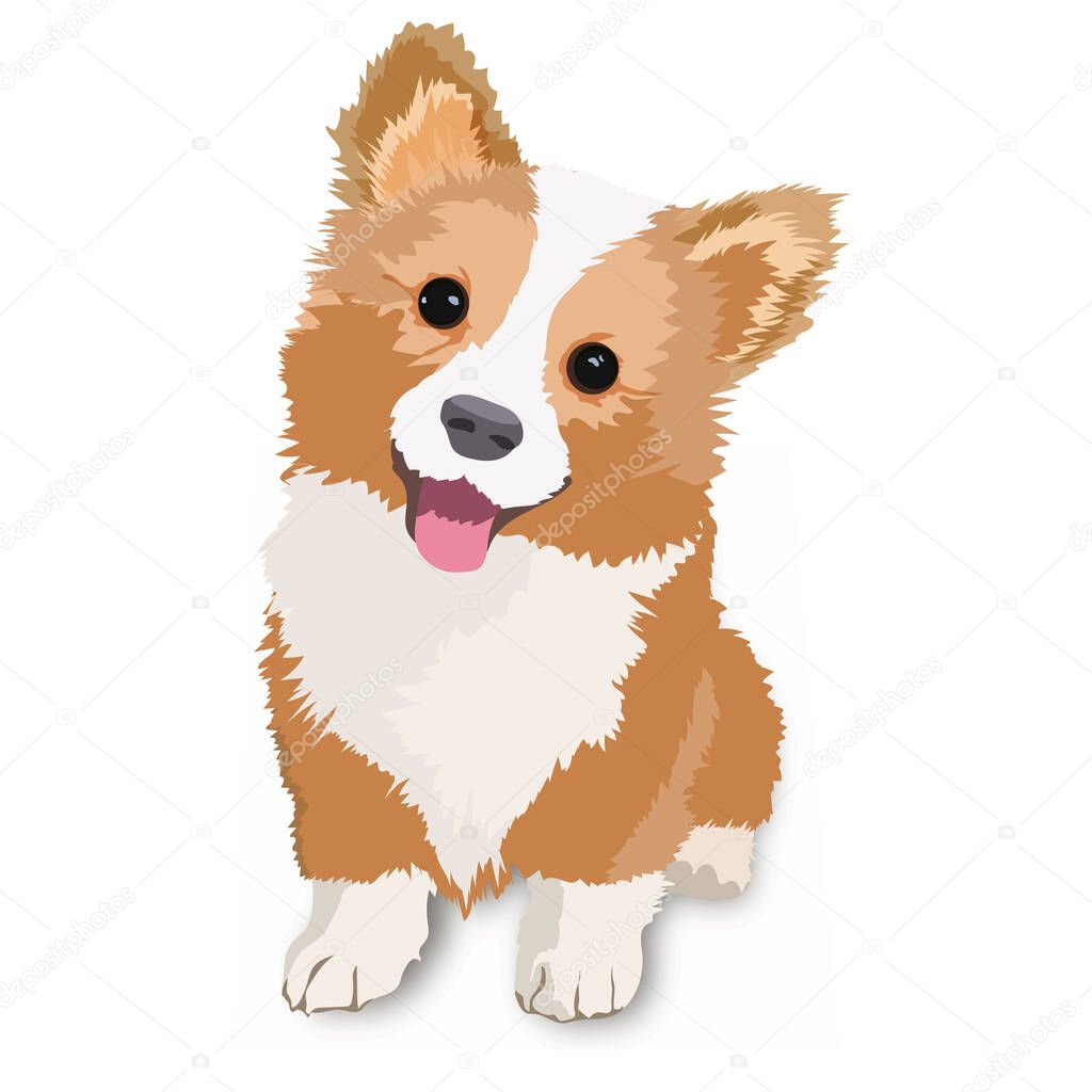 Cute puppy in cartoon style on a white background. Isolated vector illustration