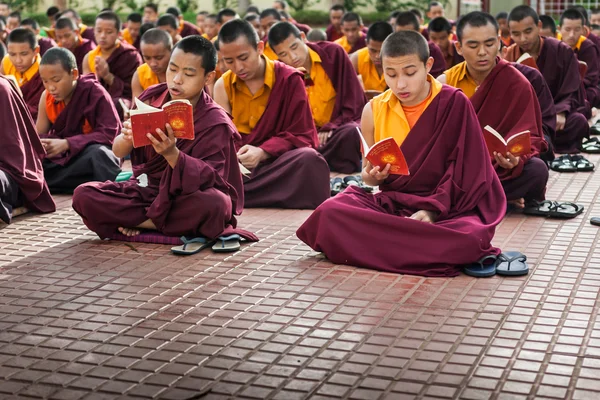 Monks Studying