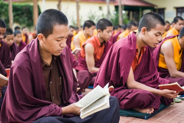 Monks Studying