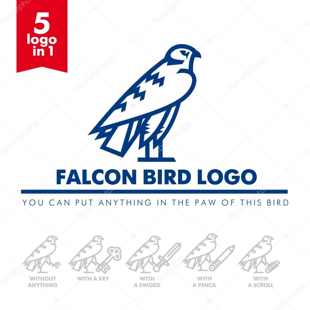 Template corporate company signs. Bird, eagle, falcon. Corporate style. Male logo. Serious, rigorous. Falcon hunting.