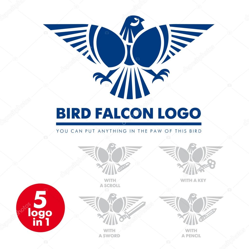 Template corporate company signs. Bird, eagle, falcon. Corporate style. Male logo. Serious, rigorous. Falcon hunting.