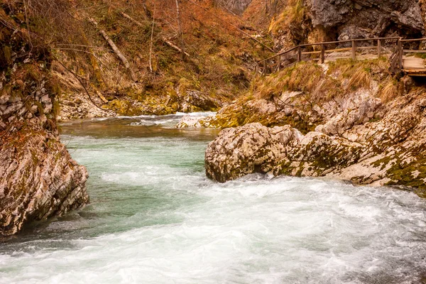 De Vintgar gorge Canyon met houten aaien — Stockfoto