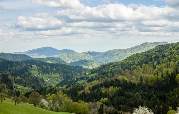 Πράσινο την άνοιξη στα βουνά στη Σλοβενία — Φωτογραφία Αρχείου