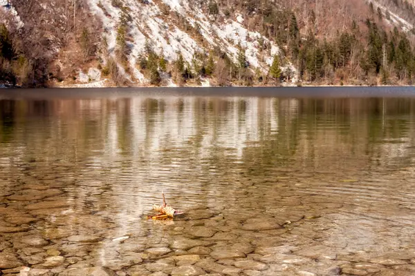 Le lac Bohinj avec bateau jouet — Photo