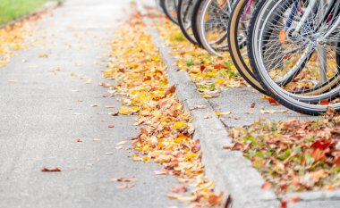 Ljubljana sonbahar bisiklet yolu