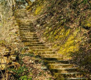 eski yosunlu merdiven