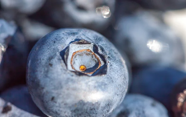 Big blueberries background — Stock Photo, Image