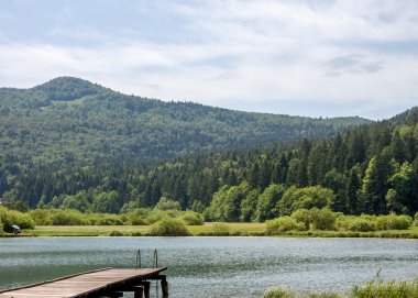 İskele ve orman göl kenarında