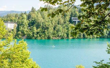 Lake Bled ağaçları arasında