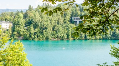 Lake Bled ağaçları arasında