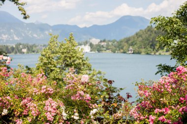 lake Bled güzel görünüm
