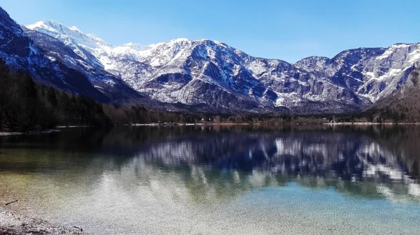 Lindo lago Bohinj foto móvel — Fotografia de Stock