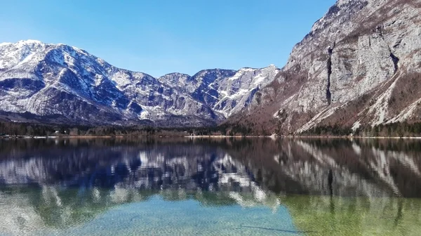 Lindo lago Bohinj foto móvel — Fotografia de Stock