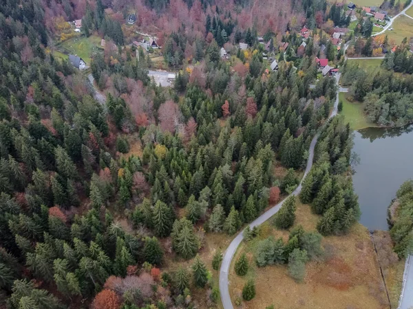 Väg i höst skog drönare vy — Stockfoto