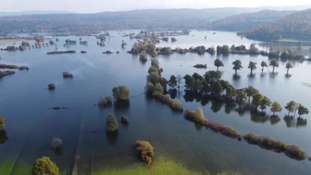 Latać nad zalaną doliną zielone pola i drzewa — Wideo stockowe