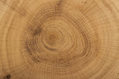 ağaç kahverengi kesim