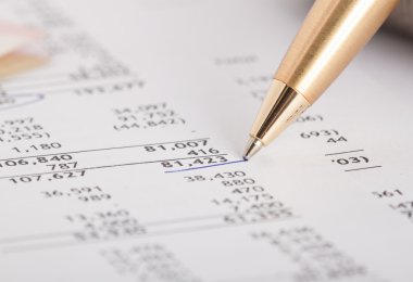 finansal rapor