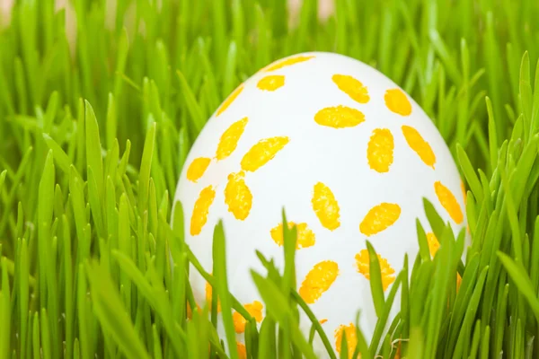 Uovo di Pasqua colorato in erba — Foto Stock