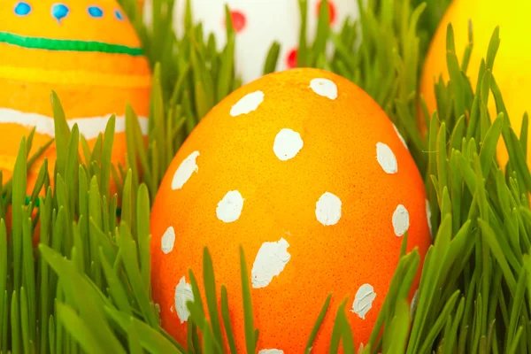 Huevos de Pascua en hierba de primavera — Foto de Stock