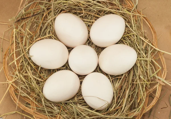 Zeven paaseieren in de mand met hooi — Stockfoto