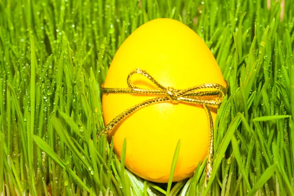 Gele ei met bowknot op gras achtergrond — Stockfoto