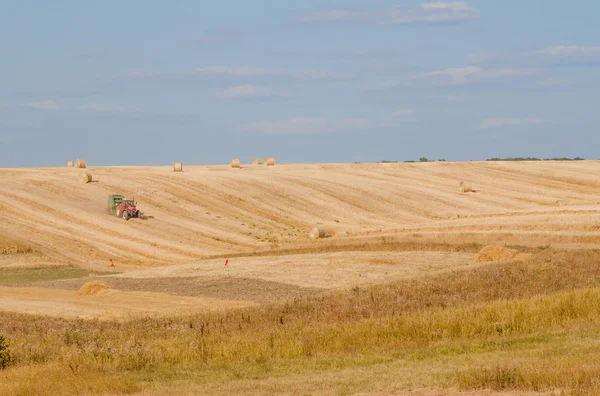 Tractor collecting straw — Stock Photo, Image