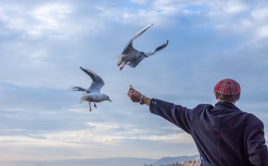 Martı adam yayınları