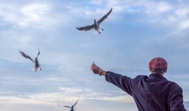 Martı adam yayınları